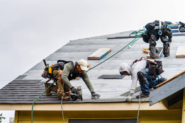 Professional Roofing technician working in Veteran, WY